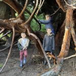 IMG_4224-1732596320452