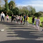 IMG_4227-1732596295638