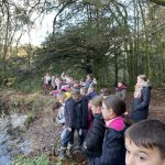 IMG_4236-1732596273697