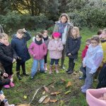 IMG_4252-1732596248039