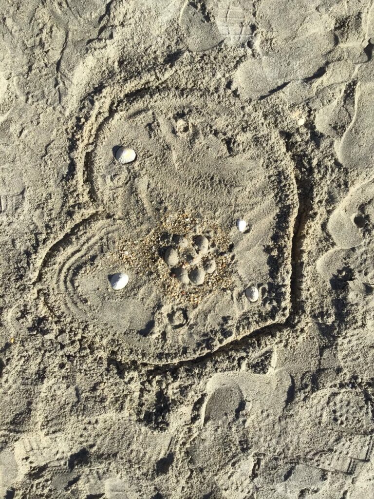 2929876E-0000-FD42-802D-934F89BDD760